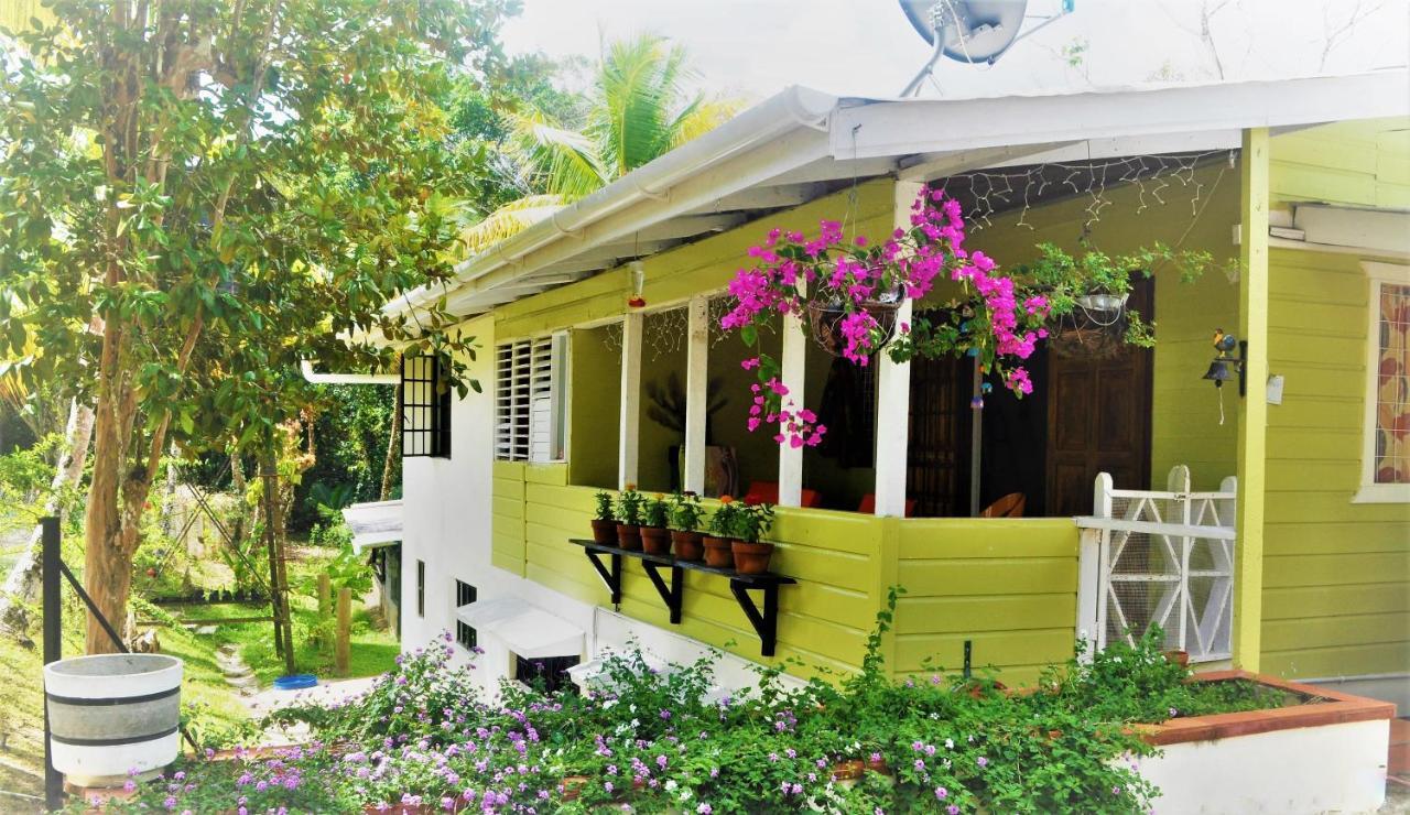 Leatherback Lodge Eco B&B Salybia Esterno foto