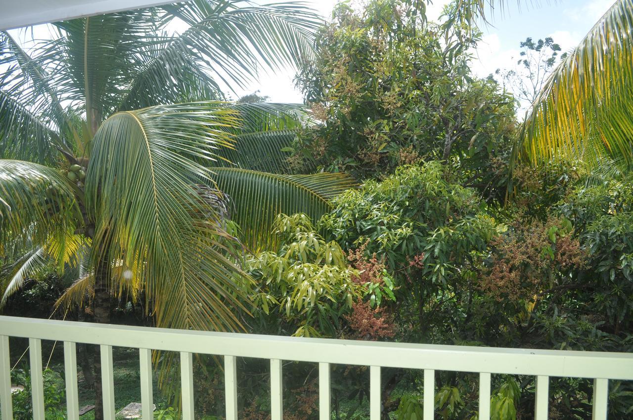 Leatherback Lodge Eco B&B Salybia Esterno foto