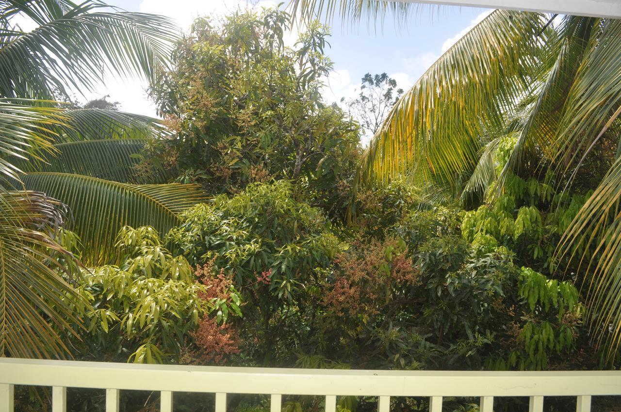 Leatherback Lodge Eco B&B Salybia Esterno foto