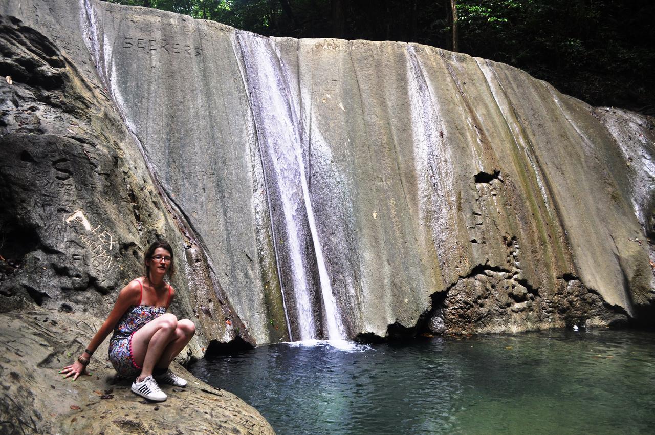 Leatherback Lodge Eco B&B Salybia Esterno foto